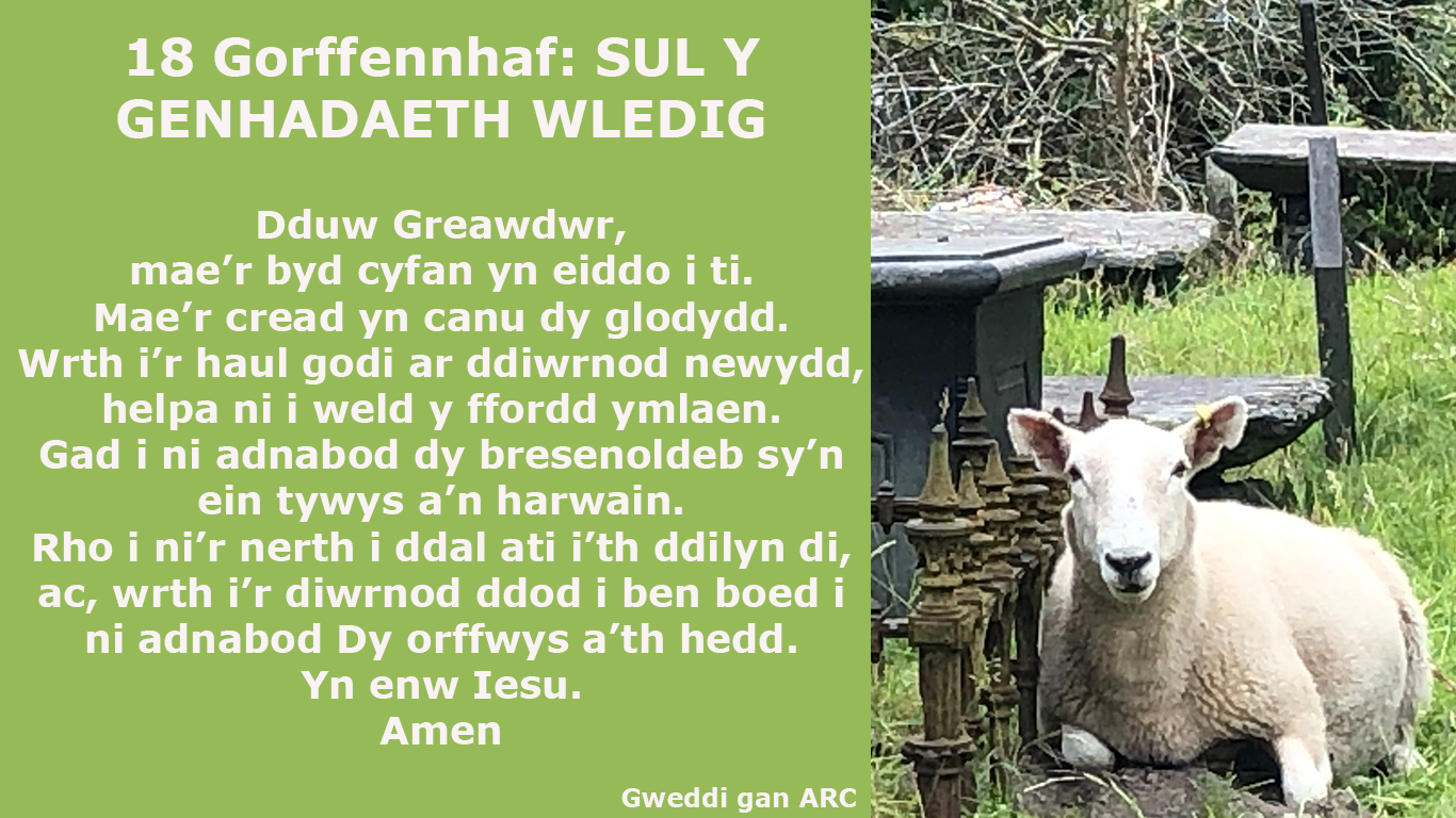 Dduw Greawdwr, mae’r byd cyfan yn eiddo i ti. Mae’r cread yn canu dy glodydd. Wrth i’r haul godi ar ddiwrnod newydd, helpa ni i weld y ffordd ymlaen. Gad i ni adnabod dy bresenoldeb sy’n ein tywys a’n harwain. Rho i ni’r nerth i ddal ati i’th ddilyn di, ac, wrth i’r diwrnod ddod i ben boed i ni adnabod Dy orffwys a’th hedd. Yn enw Iesu. Amen